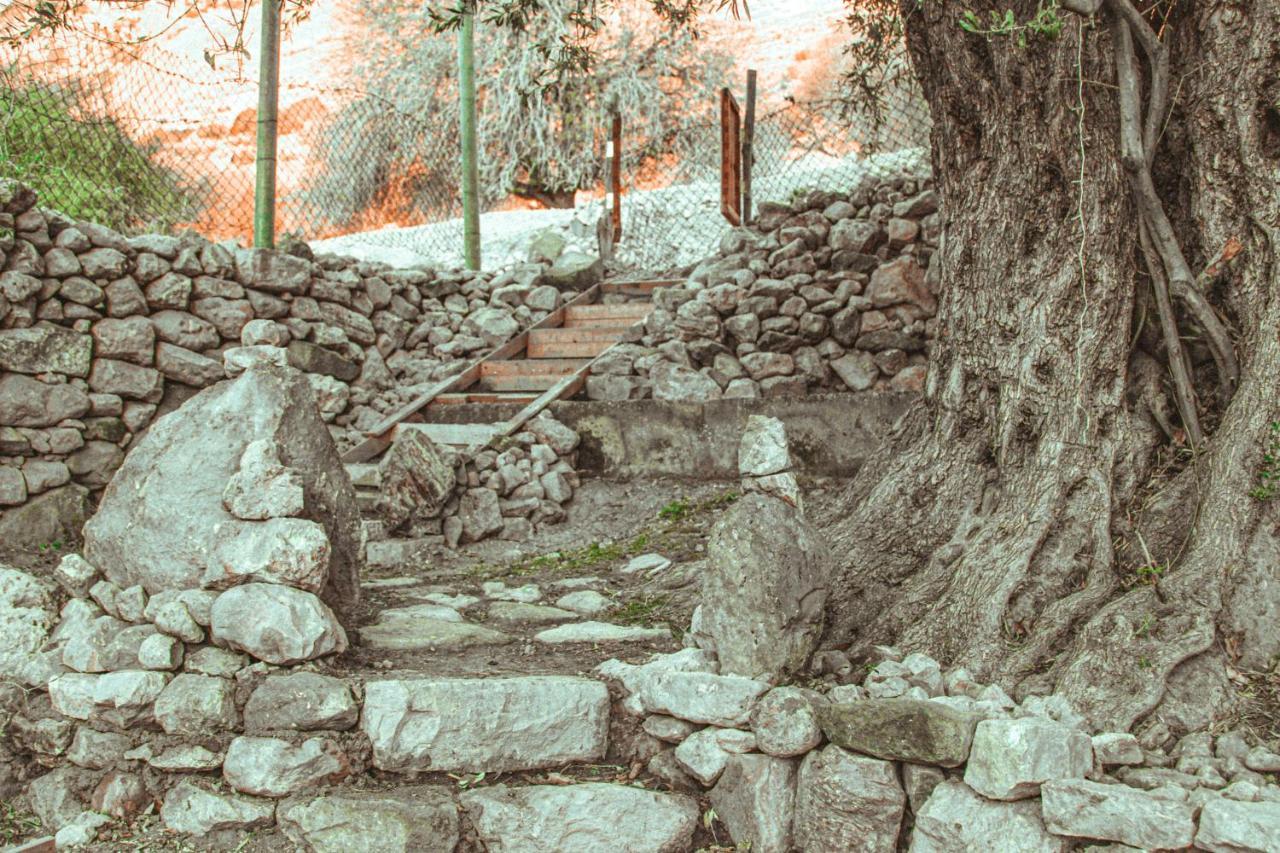 Hobbit Village Dana Exterior photo